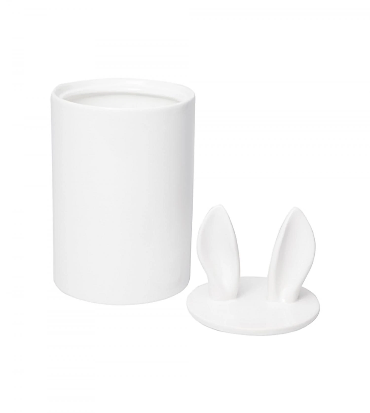 Container Décoratif Curiosity 2 Container Décoratif Curiosity – Image 2