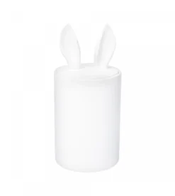 Container Décoratif Curiosity