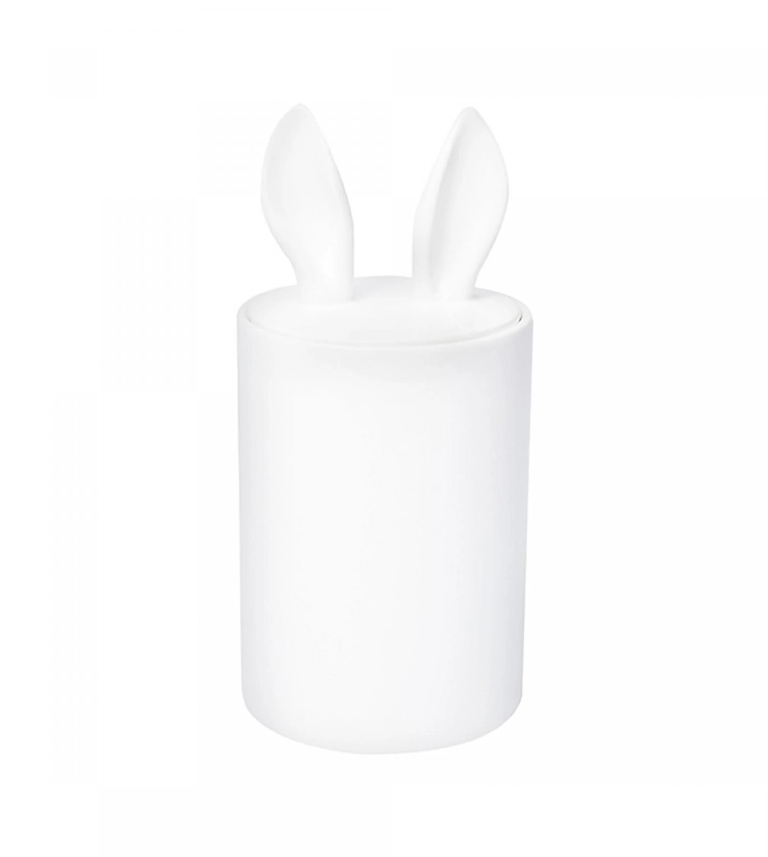 Container Décoratif Curiosity 1 Container Décoratif Curiosity