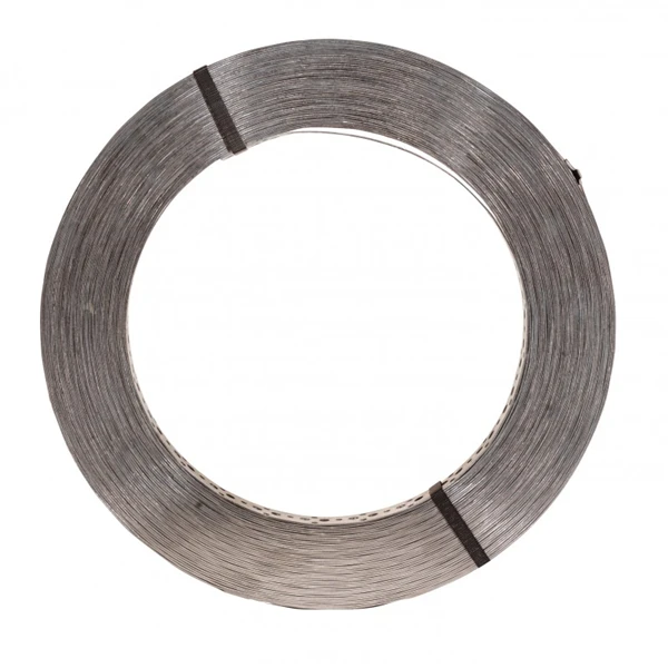 Feuillard Largeur 20 Mm épaisseur 1.0 Mm Simpson Strong-Tie FP20/1/10 1 Feuillard Largeur 20 Mm épaisseur 1.0 Mm Simpson Strong-Tie FP20/1/10